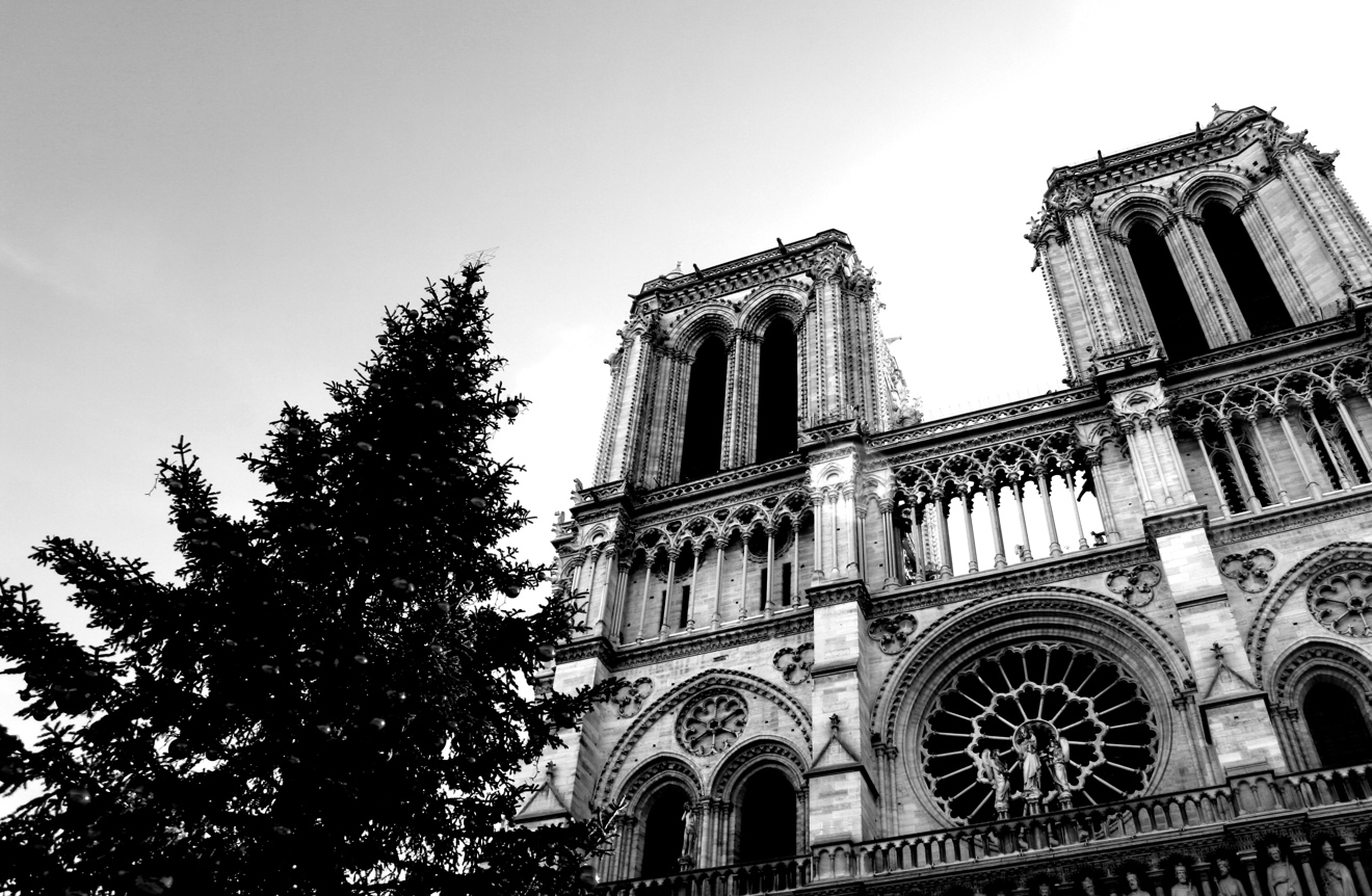 IMG_3523.JPG copy